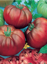 Load image into Gallery viewer, Tomato 'Black Krim'
