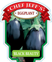 Load image into Gallery viewer, Eggplant 'Black Beauty'