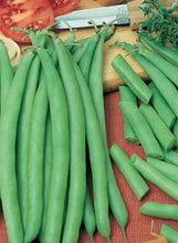 Load image into Gallery viewer, Beans Bush Blue Lake'