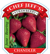 Load image into Gallery viewer, Strawberry "Chandler"