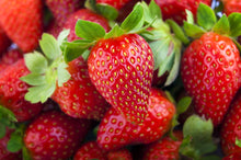 Load image into Gallery viewer, Strawberry "Chandler"