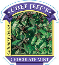 Load image into Gallery viewer, Mint Chocolate
