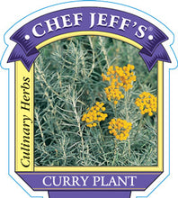 Load image into Gallery viewer, Curry Plant