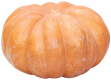 Load image into Gallery viewer, Specialty Autumn Harvest Mix Pumpkins