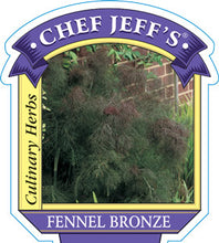 Load image into Gallery viewer, Fennel Bronze