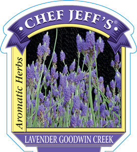 goodwin creek lavender plant Lavender Goodwin Creek – Denchfield Nursery, Inc
