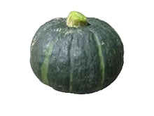 Load image into Gallery viewer, Specialty Autumn Harvest Mix Pumpkins