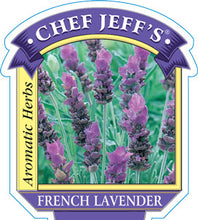 Load image into Gallery viewer, Lavender French