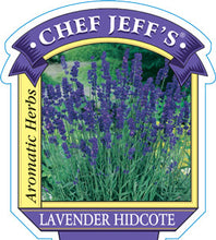 Load image into Gallery viewer, Lavender 'Hidcote'