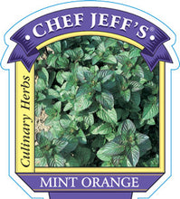 Load image into Gallery viewer, Mint Orange