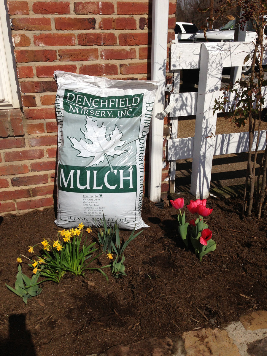 Shredded Hardwood Mulch 3 Cubic Foot Bag Denchfield Nursery Inc