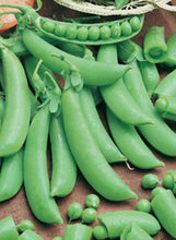 Load image into Gallery viewer, Sugar Snap Peas