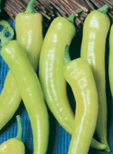 Load image into Gallery viewer, Pepper 'Pepperoncini'
