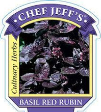 Load image into Gallery viewer, Basil 'Red Rubin'