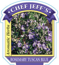 Load image into Gallery viewer, Rosemary 'Tuscan Blue'