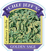 Load image into Gallery viewer, Sage 'Golden'