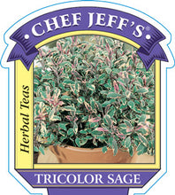 Load image into Gallery viewer, Sage 'Tricolor'