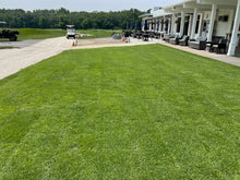 Load image into Gallery viewer, Tall Fescue Sod (10 Square Foot Roll)
