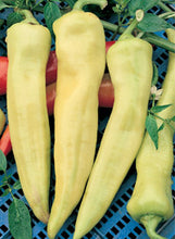 Load image into Gallery viewer, Pepper 'Sweet Banana'