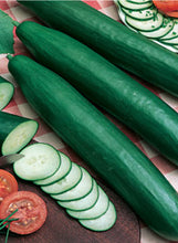Load image into Gallery viewer, Cucumber "Sweet Success"