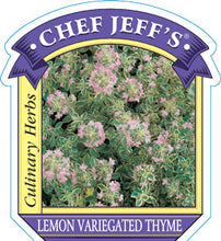 Load image into Gallery viewer, Thyme Lemon Variegated