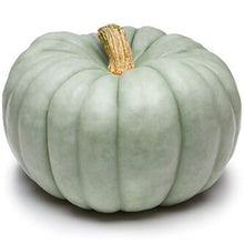 Load image into Gallery viewer, Specialty Autumn Harvest Mix Pumpkins