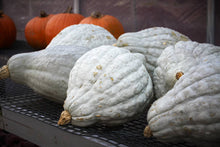 Load image into Gallery viewer, Specialty Autumn Harvest Mix Pumpkins