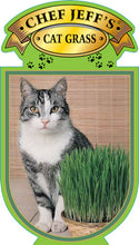 Load image into Gallery viewer, Cat Grass