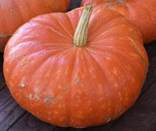 Load image into Gallery viewer, Specialty Autumn Harvest Mix Pumpkins