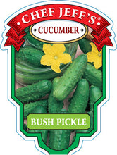 Load image into Gallery viewer, Cucumber "Bush Pickle"