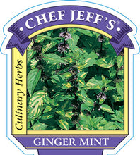 Load image into Gallery viewer, Mint "Ginger"