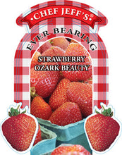 Load image into Gallery viewer, Strawberry "Ozark Beauty"