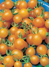 Load image into Gallery viewer, Tomato 'Sun Gold'