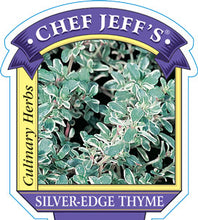 Load image into Gallery viewer, Thyme 'Silver-Edge'
