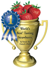 Load image into Gallery viewer, Strawberry "World's Best Tasting"