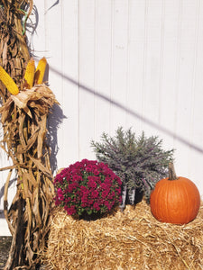 Fall Decorating Package