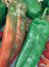 Load image into Gallery viewer, Pepper &#39;Anaheim&#39;
