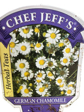 Load image into Gallery viewer, Chamomile 'German’
