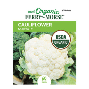 Cauliflower, Snowball Y Organic Seeds