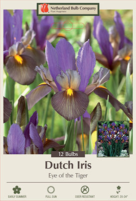 Iris 'Eye of the Tiger' Bulbs (12)