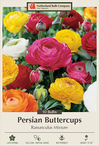 Ranunculus 'Mixture' Bulbs (10)