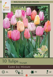 Tulip 'Easter Joy Mixture' Bulbs (7)
