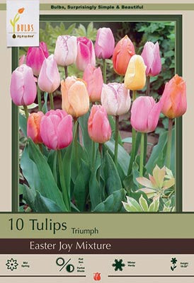 Tulip 'Easter Joy Mixture' Bulbs (7)