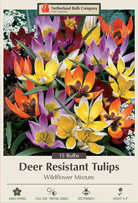 Tulip 'Deer Resistant Mixture' Bulbs (15)