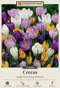 Crocus 'Large Flowering Mixture' Bulbs (15)