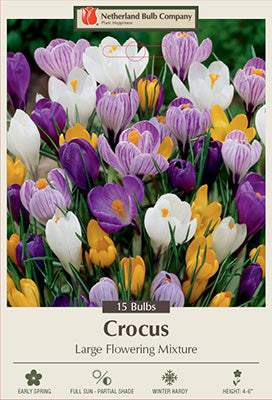 Crocus 'Large Flowering Mixture' Bulbs (15)