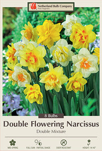 Narcissus 'Double Mixture' Bulbs (7)