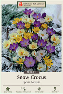 Crocus 'Snow Mixture' Bulbs (25)
