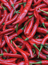 Load image into Gallery viewer, Pepper 'De Arbol'
