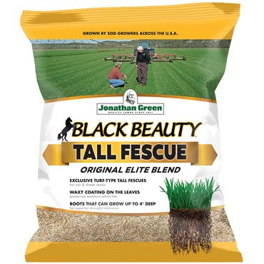 planting tall fescue grass seed Jonathan Green Black Beauty Original Tall Fescue Grass Seed – Denchfield  Nursery, Inc